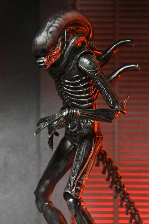 Alien: Romulus - Ultimate Xenomorph XX121 - NECA – eCollectibles
