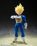 Dragon Ball Z - Super Saiyan Vegeta (Awakening Super Saiyan Blood) (7245005258928)