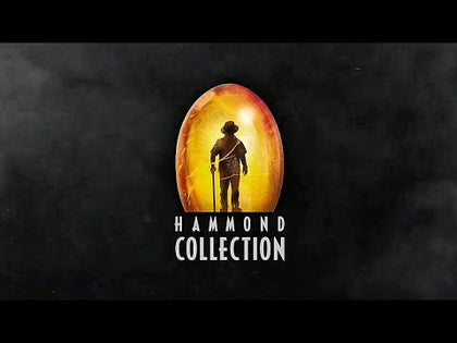 Hammond Collection