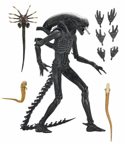 Alien: Romulus - Ultimate Xenomorph XX121 - NECA (7800677105840)