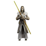 Star Wars The Black Series - Jedi Temple Guard - The Clone Wars (7874703294640)