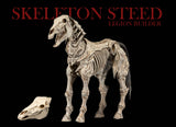 Mythic Legions - Skeleton Steed - Reinforcements 3