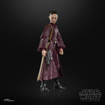 Star Wars The Black Series - Padme Amidala - The Phantom Menace (7408893591728)