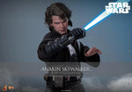 Star Wars: Revenge of the Sith - Anakin Skywalker - MMS839 - Hot Toys (7955132842160)