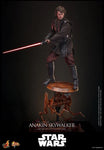 Star Wars: Revenge of the Sith - Anakin Skywalker - MMS839 - Hot Toys (7955132842160)