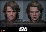 Star Wars: Revenge of the Sith - Anakin Skywalker - MMS839 - Hot Toys (7955132842160)