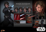 Star Wars: Revenge of the Sith - Anakin Skywalker - MMS839 - Hot Toys (7955132842160)