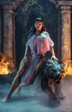 Fire and Ice - Teegra and Panther - Frazetta Girls (7521762312368)