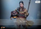 Star Wars: Return of the Jedi - Leia (Boushh Disguise) - MMS854 - Hot Toys