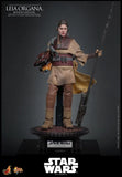 Star Wars: Return of the Jedi - Leia (Boushh Disguise) - MMS854 - Hot Toys