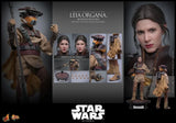 Star Wars: Return of the Jedi - Leia (Boushh Disguise) - MMS854 - Hot Toys