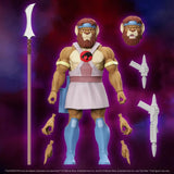 ThunderCats - Royal Thunderian Guard - Wave 11 (7666392301744)