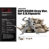 Explosion Effect Accessory (Grey Version) - SH Figuarts
