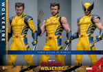 Deadpool 3 - Wolverine (Deluxe Version) - Hot Toys (7668804616368)