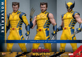 Deadpool 3 - Wolverine (Deluxe Version) - Hot Toys (7668804616368)