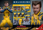 Deadpool 3 - Wolverine (Deluxe Version) - Hot Toys (7668804616368)