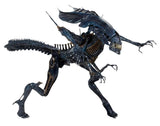 Alien - Xenomorph Queen - NECA