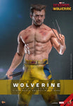 Deadpool 3 - Wolverine (Jacket Version) - MMS756 - Hot Toys (7692503318704)