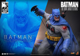 Batman: The Dark Knight Returns - Batman - CMS031 - Hot Toy