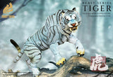 Beast Series - White Tiger (Standard) - 1/12 - Fury Toys