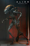 Alien: Romulus - Ultimate Scorched Alien Xenomorph - NECA (7707130101936)