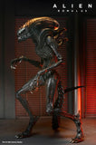 Alien: Romulus - Ultimate Scorched Alien Xenomorph - NECA (7707130101936)