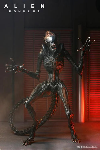 Alien: Romulus - Ultimate Scorched Alien Xenomorph - NECA (7707130101936)