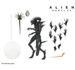 Alien: Romulus - Ultimate Scorched Alien Xenomorph - NECA (7707130101936)