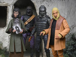 Planet of the Apes - Classic Series Set - NECA (7709177839792)