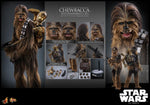 Star Wars - Chewbacca with Disassembled C3P0 - MMS766 - Hot Toys (7710517887152)