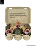 Aliens - Xenomorph Eggs (6 Pack) - 40th Anniversary - NECA