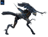 Aliens - Deluxe Queen Alien - 40th Anniversary - NECA