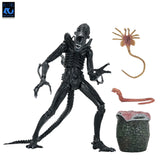Aliens - Ultimate Warrior Xenomorph (Black) - 40th Anniversary - NECA
