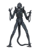 Aliens - Ultimate Warrior Xenomorph (Blue) - NECA