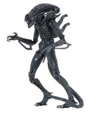Aliens - Ultimate Warrior Xenomorph (Blue) - NECA