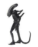 Alien - Big Chap - 1/4 Scale - 40th Anniversary - NECA