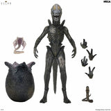 Alien: Earth - Ultimate Wendy’s Xenomorph - NECA