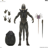 Alien: Earth - Ultimate Xenomorph - NECA