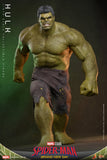 Spider-Man: Brand New Day - Hulk - MMS905 - 1/6 Scale - Hot Toys