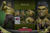 Spider-Man: Brand New Day - Hulk - MMS905 - 1/6 Scale - Hot Toys