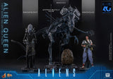 Aliens - Alien Queen - MMS903 - 1/6 Scale - Hot Toys