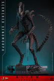 Alien: Romulus - Scorched Xenomorph - MMS789 - Hot Toys (7766585278640)