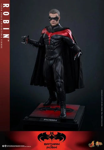 Batman & Robin - Robin - MMS787 - Hot Toys (7766593994928)