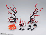 One Piece - Monkey D. Luffy Optional Parts Set - Two Years Later - SH Figuarts