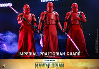 Star Wars - Imperial Praetorian Guard (The Mandalorian) - Hot Toys (7373951631536)