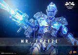 Batman and Robin - Mr Freeze (Deluxe) - MMS800 - Hot Toys (7808109150384)