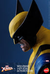 X-Men - Wolverine HS01 - Hona Studio (7436769132720)