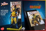 X-Men - Wolverine HS01 - Hona Studio (7436769132720)