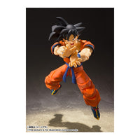 Dragon Ball Z - Son Goku (Reissue) - SH Figuarts (7451452080304)