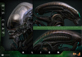 Alien - Big Chap - MMS826 - Hot Toys (7901167648944)